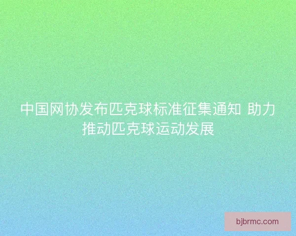 中国网协发布匹克球标准征集通知 助力推动匹克球运动发展