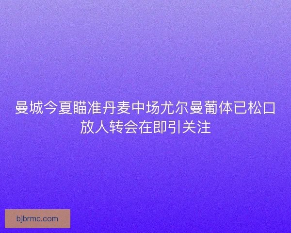曼城今夏瞄准丹麦中场尤尔曼葡体已松口放人转会在即引关注