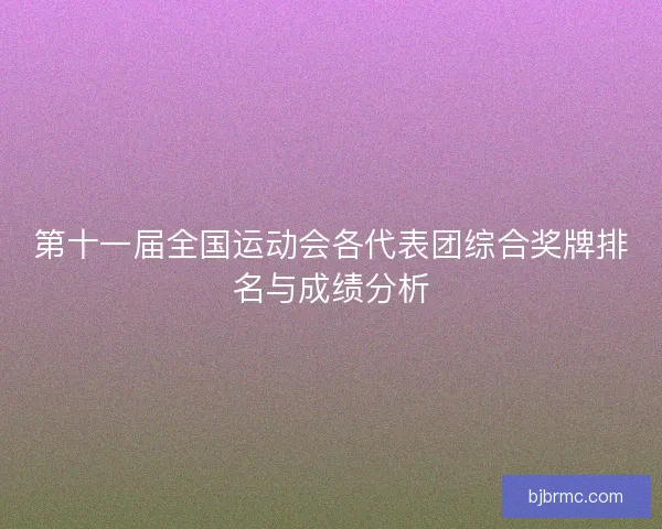 第十一届全国运动会各代表团综合奖牌排名与成绩分析