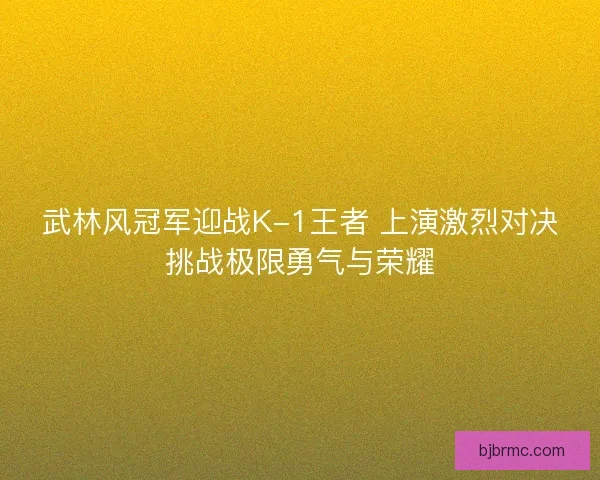 武林风冠军迎战K-1王者 上演激烈对决挑战极限勇气与荣耀