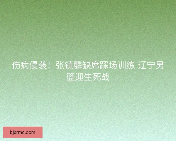 伤病侵袭！张镇麟缺席踩场训练 辽宁男篮迎生死战
