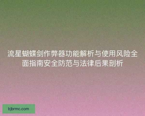 流星蝴蝶剑作弊器功能解析与使用风险全面指南安全防范与法律后果剖析