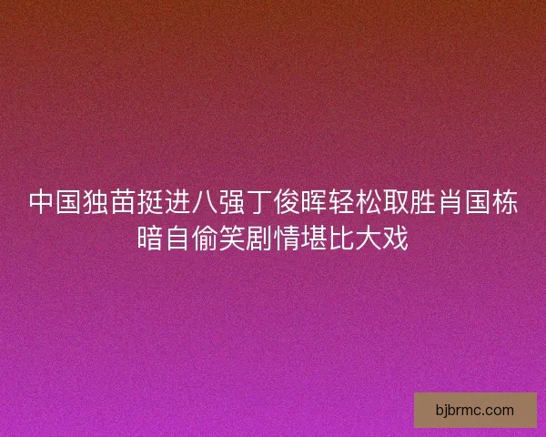 中国独苗挺进八强丁俊晖轻松取胜肖国栋暗自偷笑剧情堪比大戏 中国独苗挺进八强丁俊晖轻松取胜肖国栋暗自偷笑剧情堪比大戏